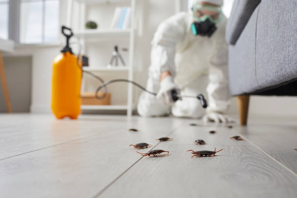Trusted Termite Control service in Woodbourne, PA - Nex Pest Control