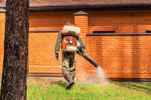 Trusted Cockroach Control service in Woodbourne, PA - Nex Pest Control